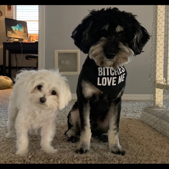 Meet your Posher, Carly ritz - Picture 6 of 7